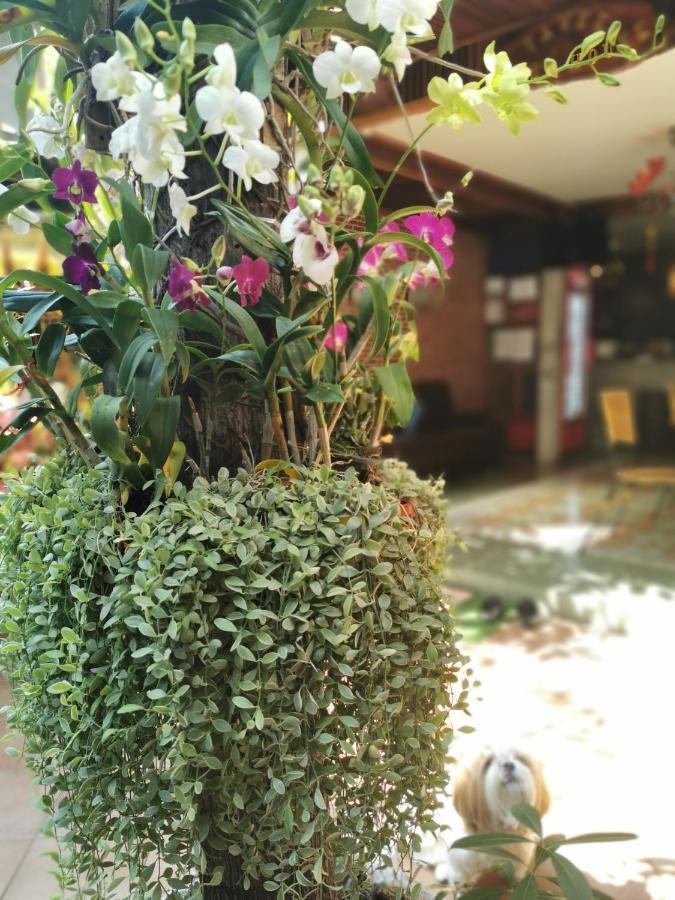 Tavee Guesthouse Бангкок Екстер'єр фото